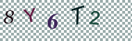 CAPTCHA code